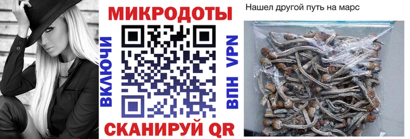 Галлюциногенные грибы прущие грибы  Карталы 